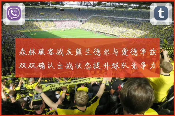 森林狼客战灰熊兰德尔与爱德华兹双双确认出战状态提升球队竞争力