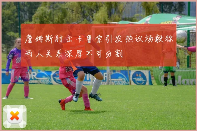 詹姆斯肘击卡鲁索引发热议杨毅称两人关系深厚不可分割